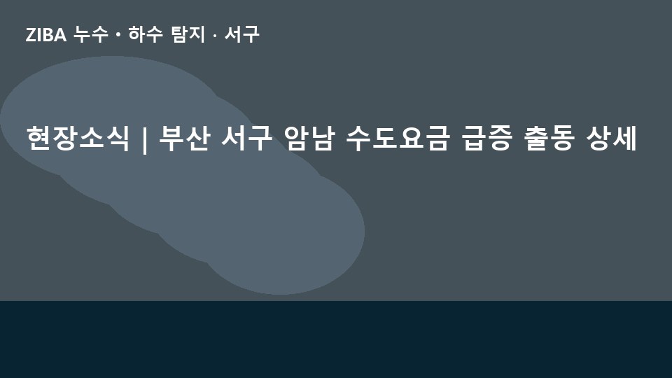 현장소식 | 부산 서구 암남 수도요금 급증 출동 상세