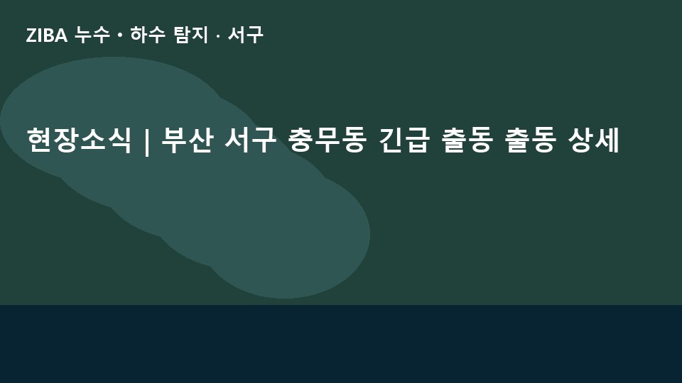 현장소식 | 부산 서구 충무동 긴급 출동 출동 상세