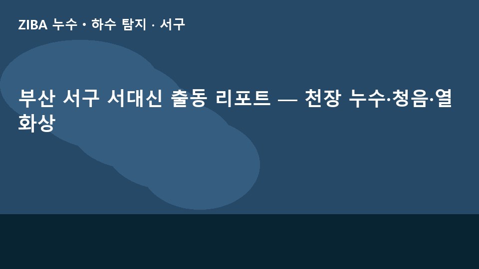 부산 서구 서대신 출동 리포트 — 천장 누수·청음·열화상